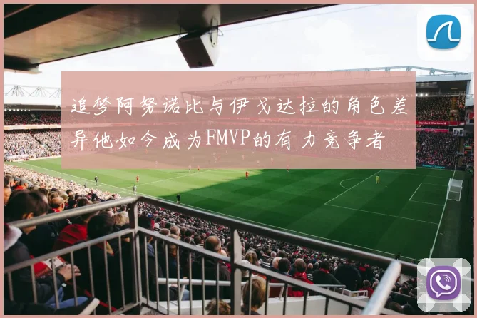 追梦阿努诺比与伊戈达拉的角色差异他如今成为FMVP的有力竞争者